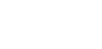 SilverFern Digital Logo